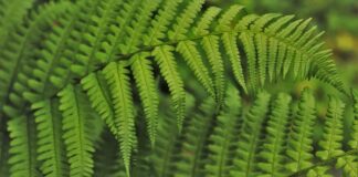 Jak wdrożyć strategie?