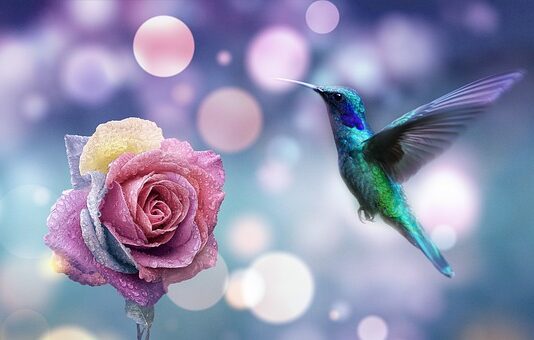 Co to jest skalowanie włosów?