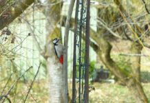 Jakie są dziedziny socjologii? Jakie są dziedziny socjologii?