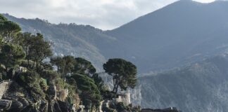 Ile kosztuje system Grenton?