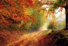 Czy spadek można od razu sprzedać?