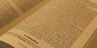 Który portal jest najbardziej obiektywny?