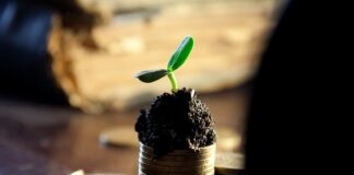 Jakie dywidendy w 2023?