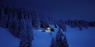 Jak opisać cel zawodowy?