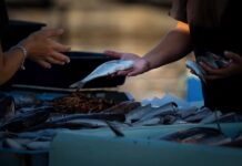 Jak sprzedawać door to door?