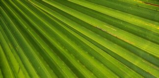 Co jest ważne w realizowaniu marzeń?