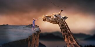 Jak tanio i dobrze żyć?