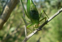 Jak panować nad złością?