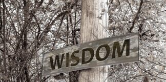 Co trzeba zrobić żeby dostać stypendium?