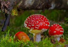 Jak pozbyć się toksycznej osoby w pracy? Jak pozbyć się toksycznej osoby w pracy?