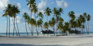 Ile razy można poprawiać semestr na studiach?