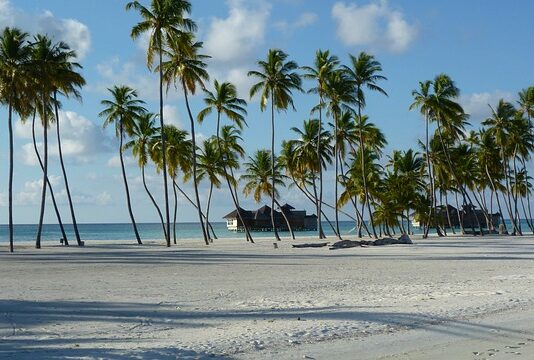 Ile razy można poprawiać semestr na studiach?