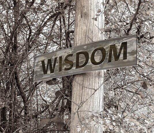 Czy można mieć dwa stypendia? Czy można mieć dwa stypendia?