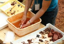 Ile czasu ma Inspekcja Pracy na rozpatrzenie skargi? Ile czasu ma Inspekcja Pracy na rozpatrzenie skargi?