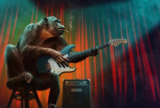 Jakie są etapy edukacyjne w Polsce? Jakie są etapy edukacyjne w Polsce?