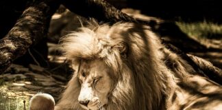 Jak się nie denerwować na ludzi?