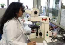 Czy asystent rodziny jest obowiązkowy? Czy asystent rodziny jest obowiązkowy?