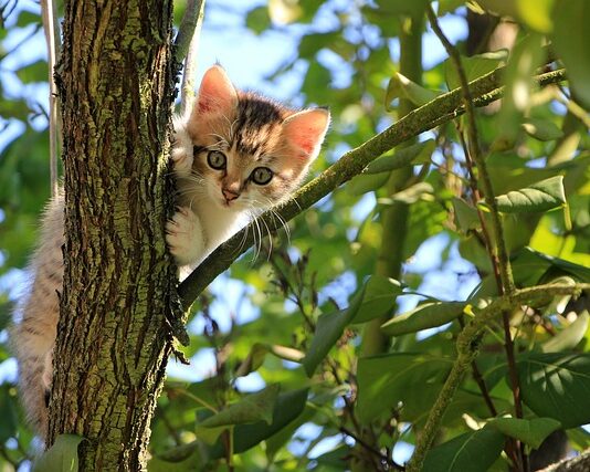 Co zrobić aby moje życie było ciekawsze? Co zrobić aby moje życie było ciekawsze?